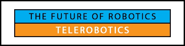 The Future of Robotics