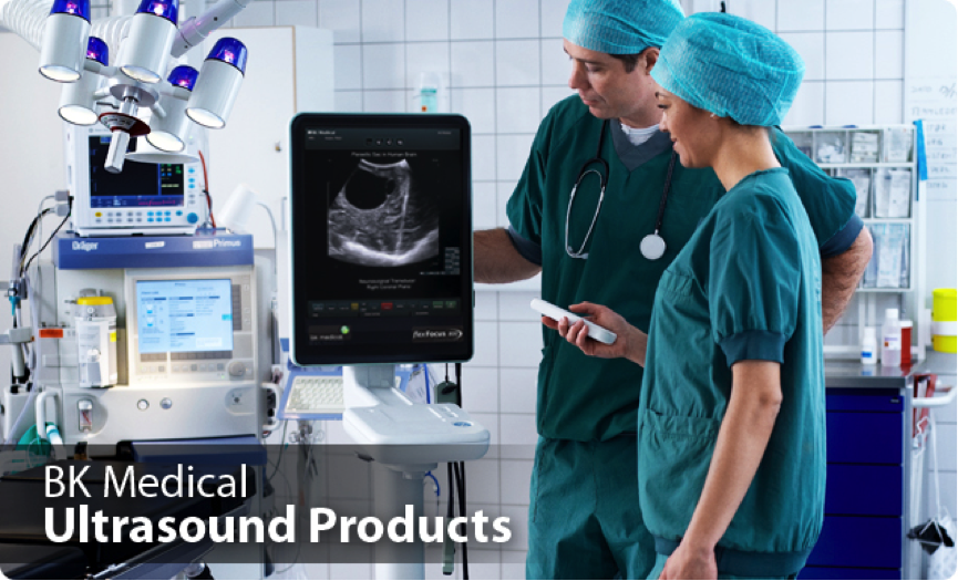 Figure 2. State of the Art of a current Ultrasound System